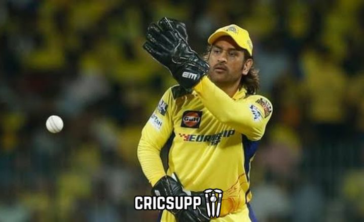 Dhoni IPL future 